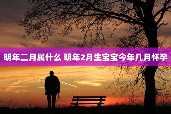 明年二月属什么 明年2月生宝宝今年几月怀孕