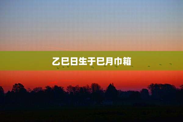 乙巳日生于巳月巾箱