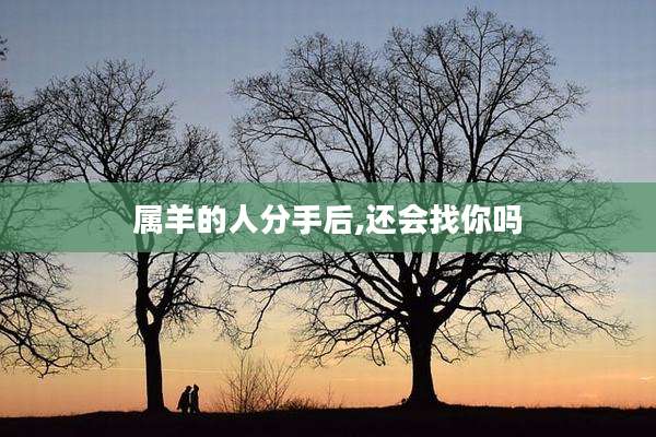 属羊的人分手后,还会找你吗