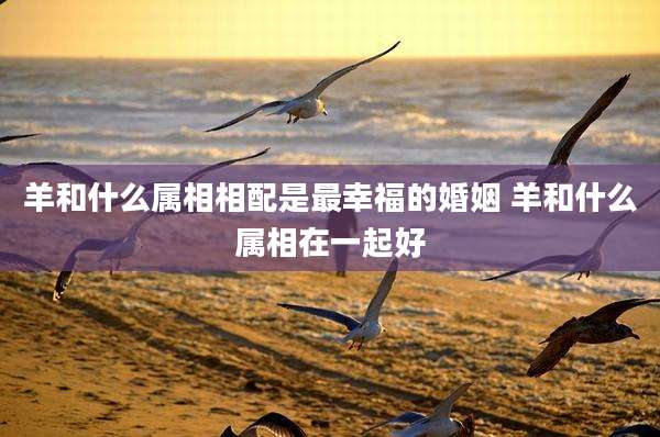 羊和什么属相相配是最幸福的婚姻 羊和什么属相在一起好