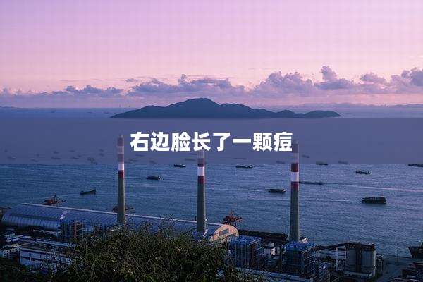 右边脸长了一颗痘