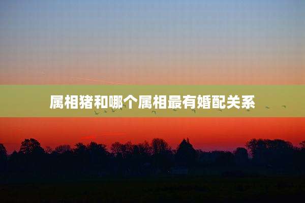 属相猪和哪个属相最有婚配关系