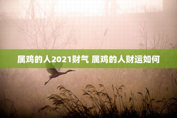 属鸡的人2021财气 属鸡的人财运如何