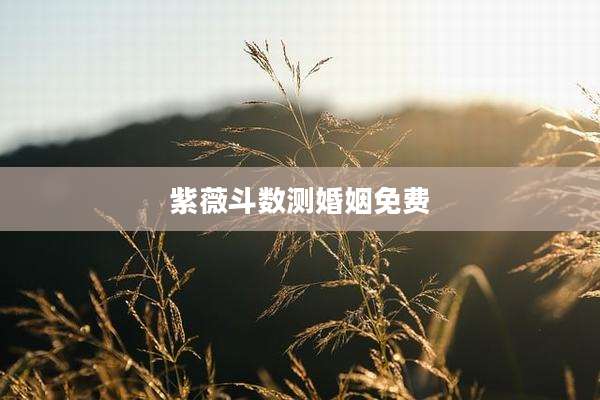 紫薇斗数测婚姻免费