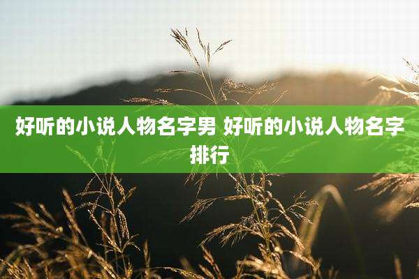 好听的小说人物名字男 好听的小说人物名字排行