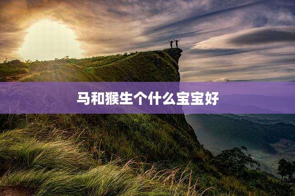 马和猴生个什么宝宝好