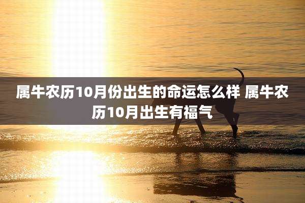 属牛农历10月份出生的命运怎么样 属牛农历10月出生有福气