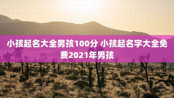 小孩起名大全男孩100分 小孩起名字大全免费2021年男孩