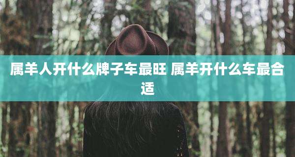 属羊人开什么牌子车最旺 属羊开什么车最合适
