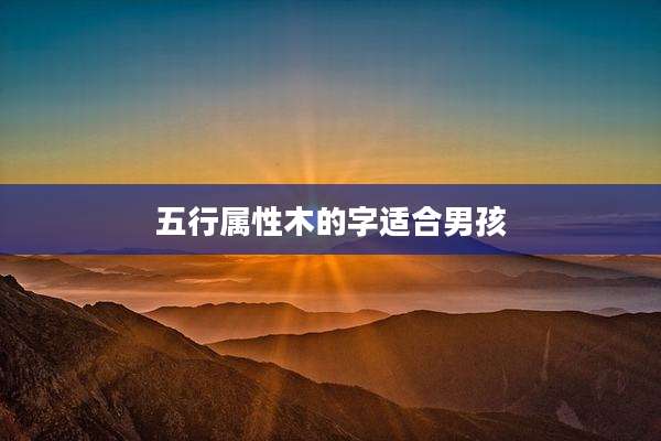 五行属性木的字适合男孩