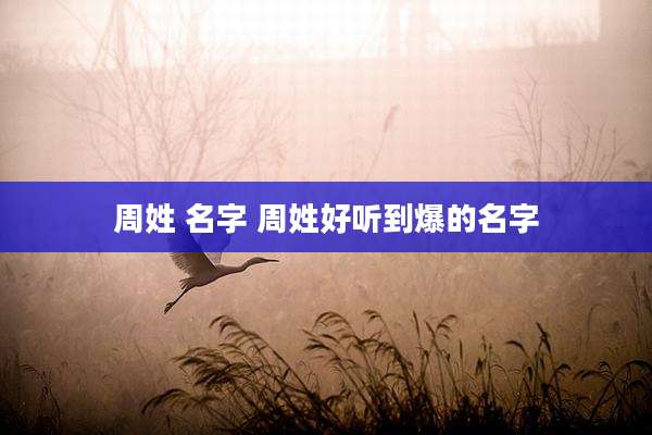 周姓 名字 周姓好听到爆的名字