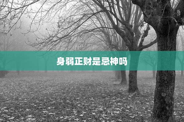 身弱正财是忌神吗
