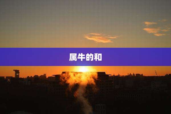 属牛的和