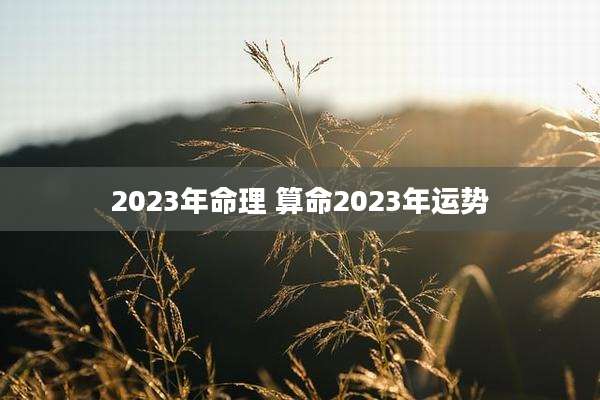 2023年命理 算命2023年运势