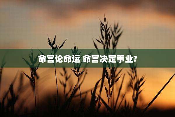命宫论命运 命宫决定事业?