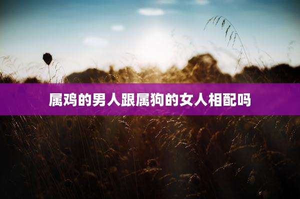 属鸡的男人跟属狗的女人相配吗
