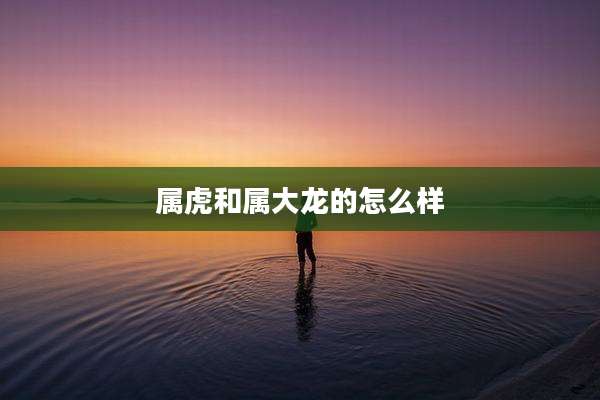 属虎和属大龙的怎么样