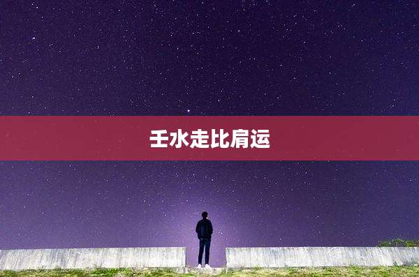 壬水走比肩运