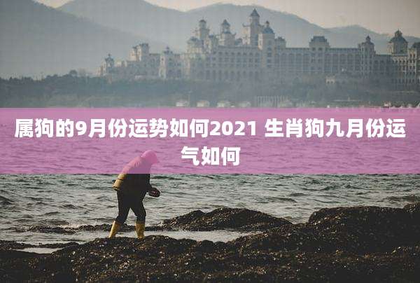 属狗的9月份运势如何2021 生肖狗九月份运气如何