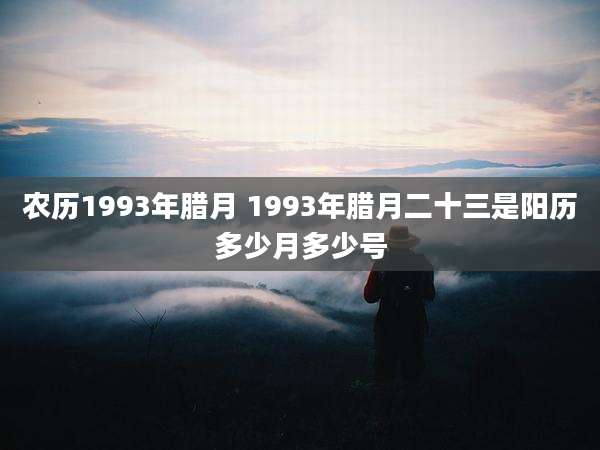 农历1993年腊月 1993年腊月二十三是阳历多少月多少号