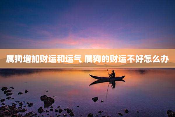 属狗增加财运和运气 属狗的财运不好怎么办