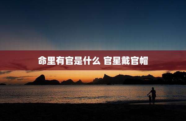 命里有官是什么 官星戴官帽