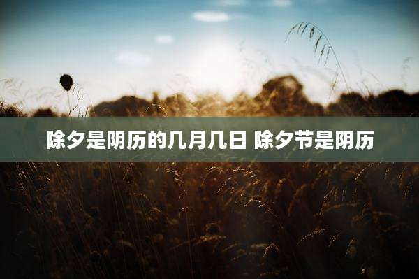 除夕是阴历的几月几日 除夕节是阴历
