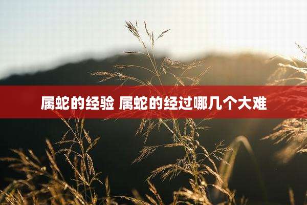 属蛇的经验 属蛇的经过哪几个大难