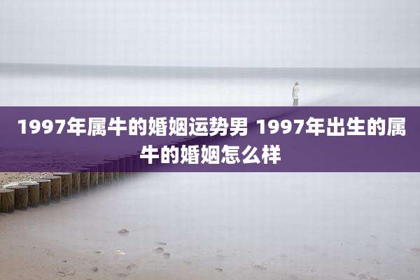 1997年属牛的婚姻运势男 1997年出生的属牛的婚姻怎么样