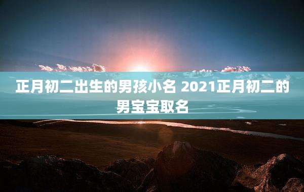 正月初二出生的男孩小名 2021正月初二的男宝宝取名