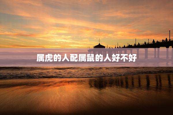 属虎的人配属鼠的人好不好