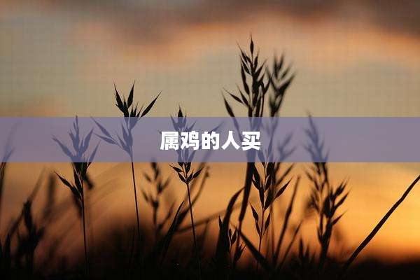 属鸡的人买