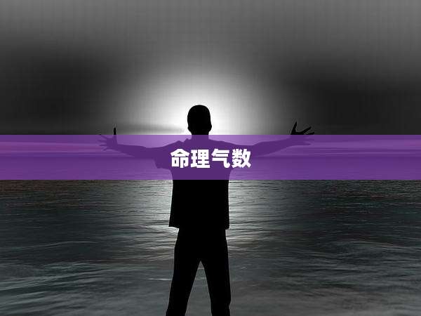 命理气数