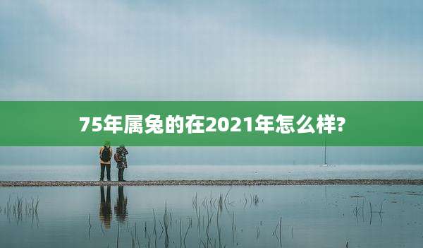 75年属兔的在2021年怎么样?