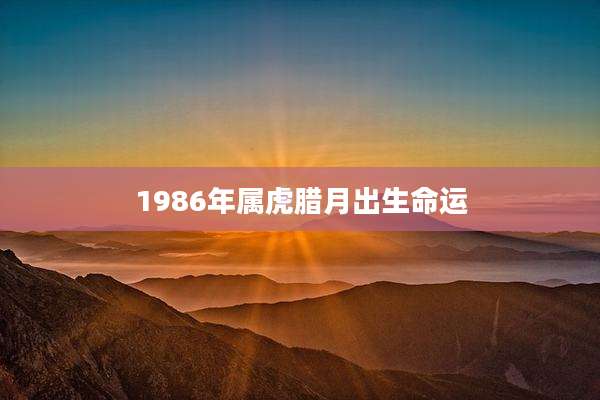 1986年属虎腊月出生命运