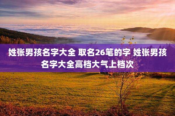 姓张男孩名字大全 取名26笔的字 姓张男孩名字大全高档大气上档次
