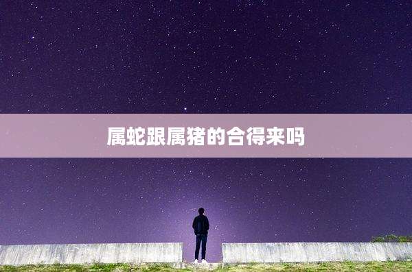 属蛇跟属猪的合得来吗