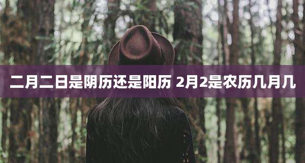 二月二日是阴历还是阳历 2月2是农历几月几