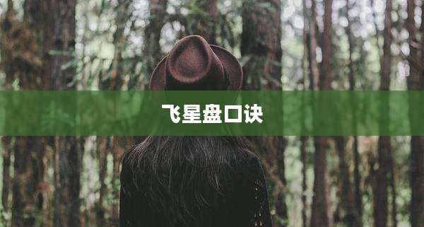 飞星盘口诀
