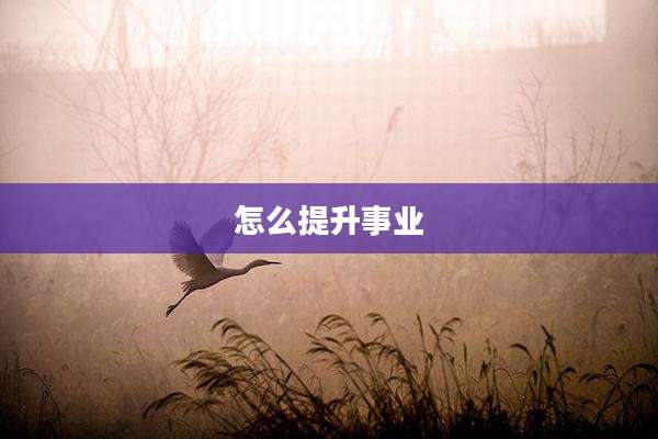怎么提升事业