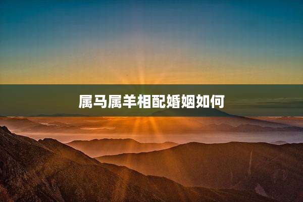 属马属羊相配婚姻如何