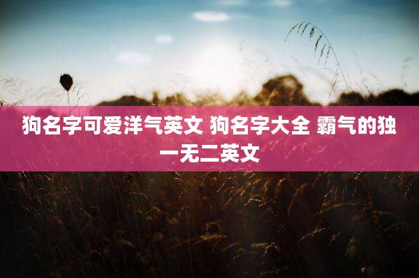 狗名字可爱洋气英文 狗名字大全 霸气的独一无二英文