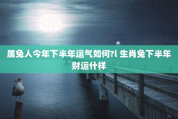 属兔人今年下半年运气如何?l 生肖兔下半年财运什样
