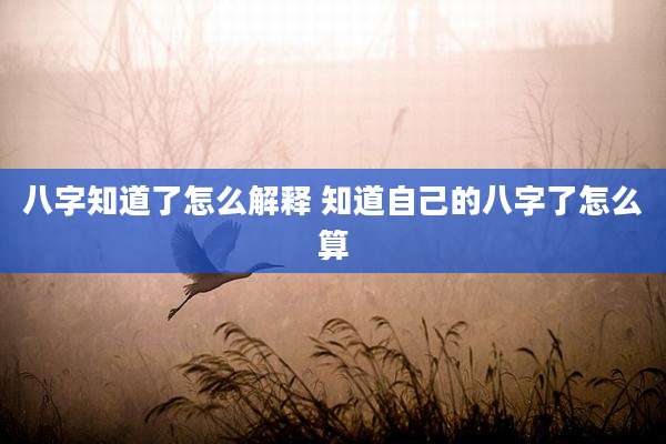 八字知道了怎么解释 知道自己的八字了怎么算