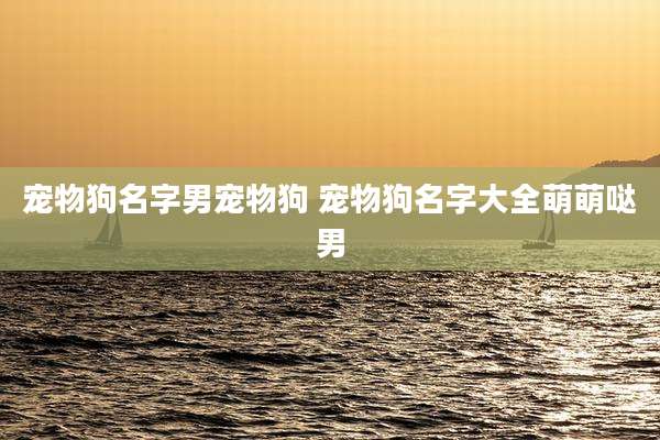 宠物狗名字男宠物狗 宠物狗名字大全萌萌哒男