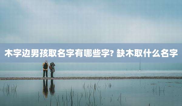 木字边男孩取名字有哪些字? 缺木取什么名字