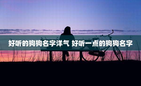 好听的狗狗名字洋气 好听一点的狗狗名字