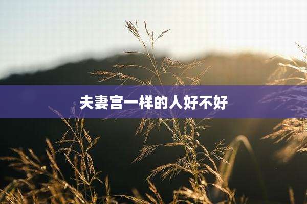 夫妻宫一样的人好不好