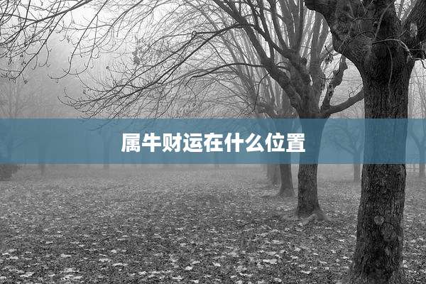 属牛财运在什么位置