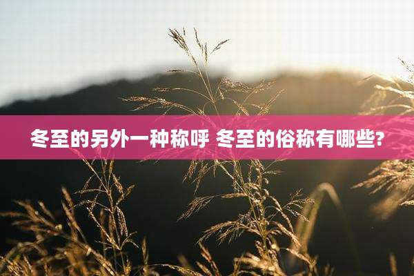 冬至的另外一种称呼 冬至的俗称有哪些?